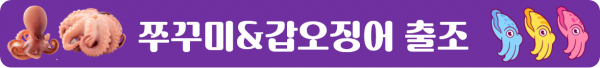 일정공지_갑쭈_대상어종.png