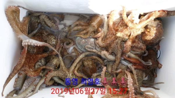 DateCamera0627152725.jpg 09be03923456528c7f89bc296a6d64c4_mini.jp