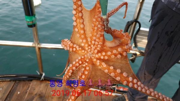 287bdcaf85efa1d90a92a5742c73529e_mini.jp