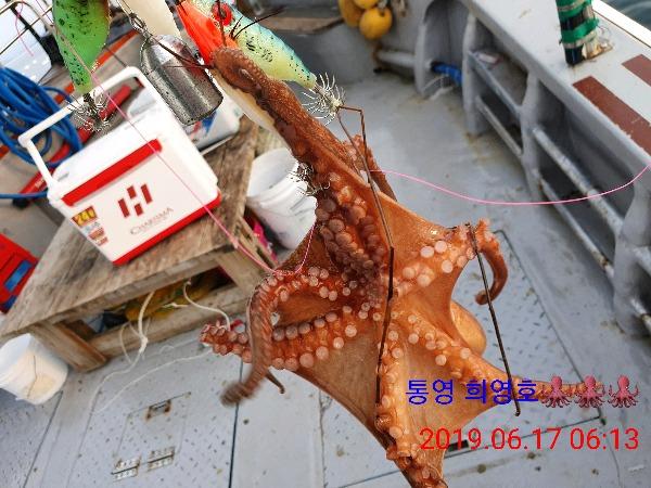 5323ed4cc174188e989cae202eab0113_mini.jp
