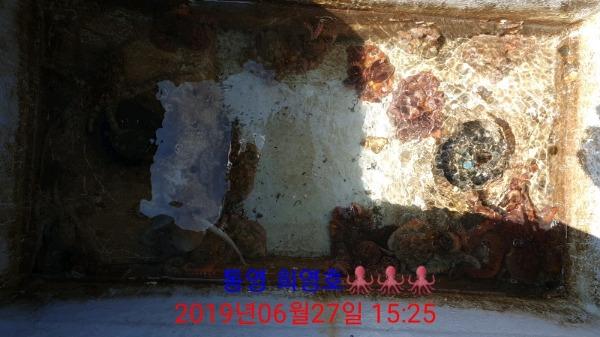 DateCamera0627152502.jpg 6e4cab9f0d5ad0ff93b29fbfc1a45e63_mini.jp