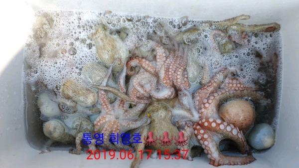 DateCamera0617153721.jpg 78fd163fc3bf50735830f39ea2d6fd29_mini.jp