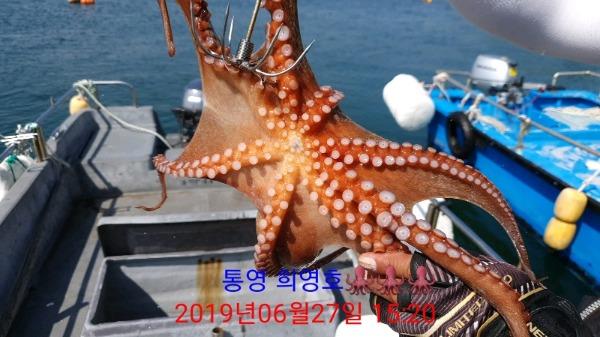 DateCamera0627152003.jpg b4db5fc201d2c75abc38c9a3a28f9ddf_mini.jp