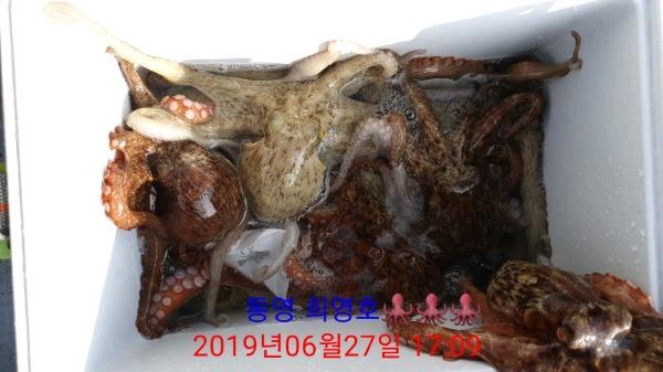 DateCamera0627170952.jpg b610aee63c384d00f552d07a5864a0bc_mini.jp
