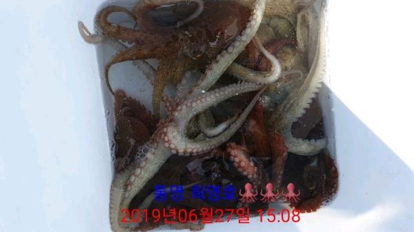 DateCamera0627150810.jpg efb115f2a903b08d052276705fc85aae_mini.jp