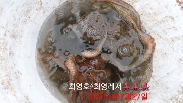 DateCamera0727163834.jpg 02427cc55c56f77bf416bec22a80d846_mini.jp