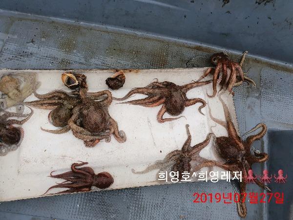 DateCamera0727164054.jpg 25b62ebb6eaeb11a8c9b9b80272c4318_mini.jp