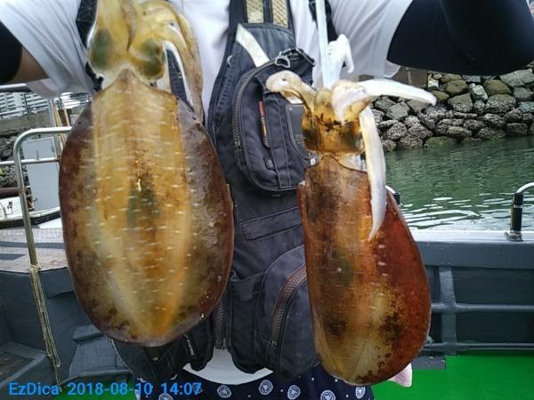 3457e31355fadc2a0aace87f9716d1ff_mini.jp