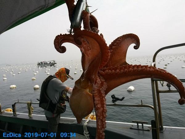 5756faafdbb5b9eb6ee8d06a52b9af20_mini.jp