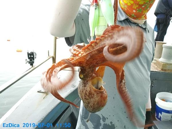 78c5a7082441cfc9ea953fce3bccab89_mini.jp