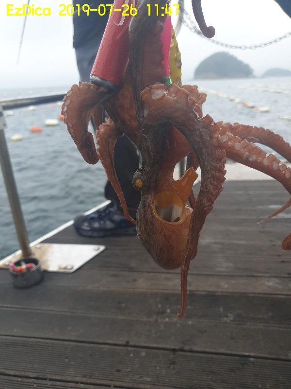 20190726_114720.jpg 938775d50aaecf5a653465d63096ff3e_mini.jp