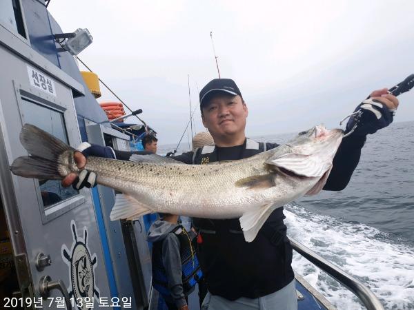 TimePhoto_20190713_110602.jpg a53ce6ec8f33c0be928d028ce58548a7_mini.jp
