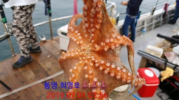 DateCamera0701075620.jpg b650d23de36c9eea791d71d20a902227_mini.jp