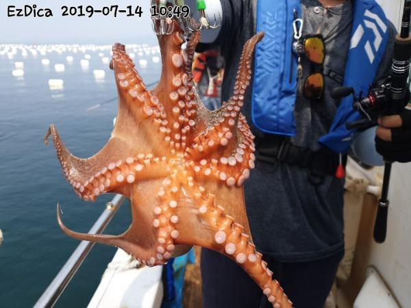 bf01b31f91bb478b761fc3d58be21a21_mini.jp