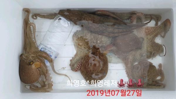 DateCamera0727154437.jpg c65992b2d4de09687515d06db9e317fc_mini.jp