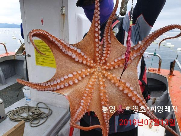 d836d77ca961e043072b0ab476fc1a88_mini.jp