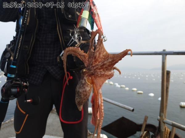 f0909f5fee5bce39a4ba397f487e36ad_mini.jp