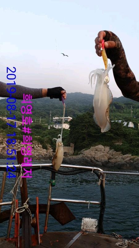 DateCamera0817185124.jpg 0a9f678c144725f04272bb8639306dd2_mini.jp