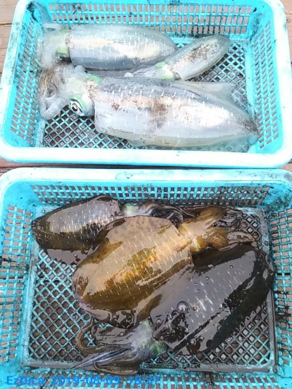 1732a6252ad7a58b76ecf51f10758315_mini.jp