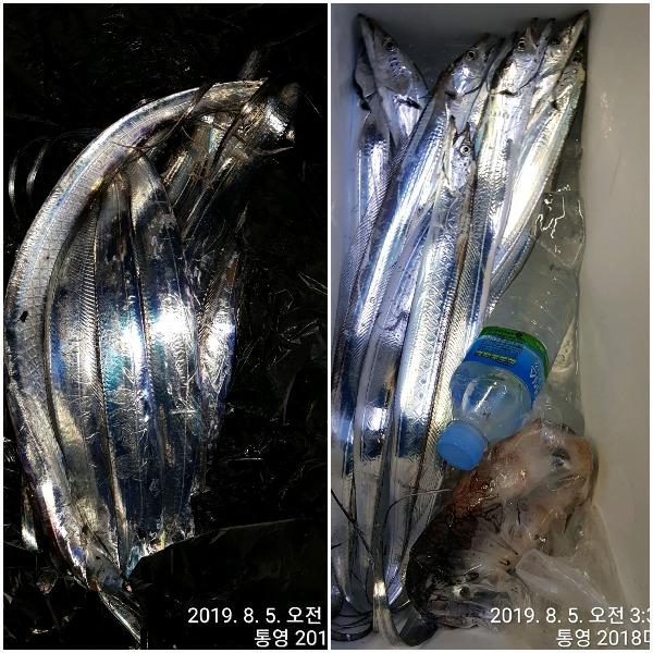 20190805_073645.jpg 1deae5459f46ae01f982f080a9a9a1e9_mini.jp