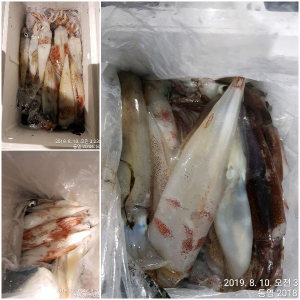 20190810_205119.jpg 2c914a566d4e7b495468f56c96e136d6_mini.jp