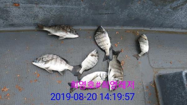 3612098fe6e201e5ba7e3fee2f22469a_mini.jp