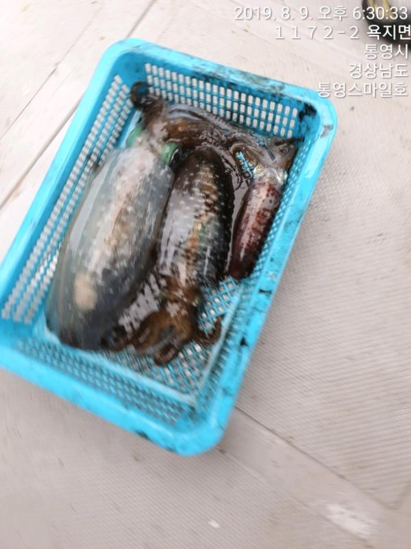 374b594023c817bf79c747aa9ea0bc40_mini.jp
