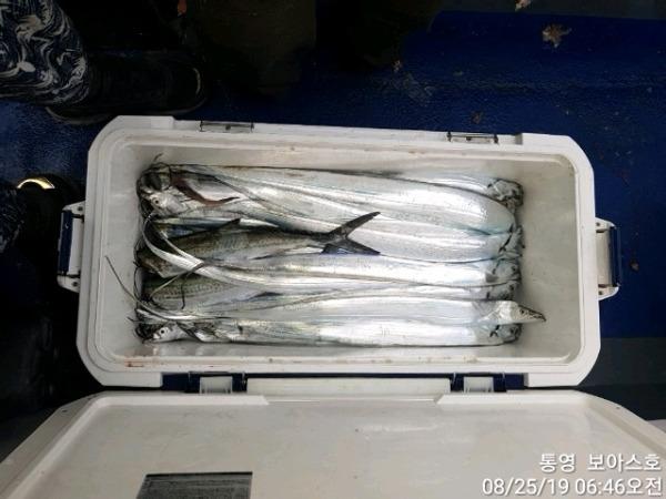 3824e9d3f20f5f32fa23d2518e8e3ed1_mini.jp