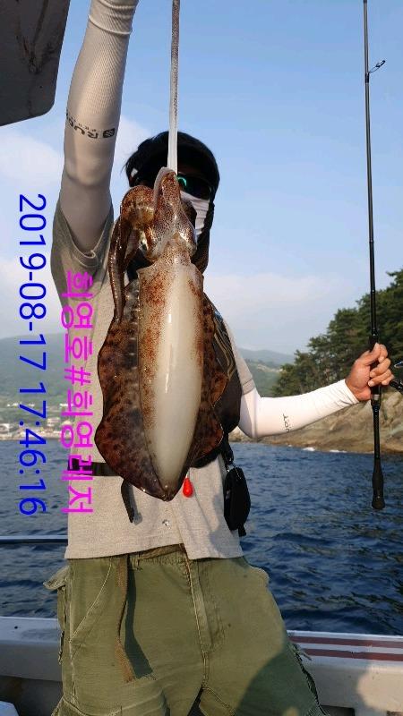 DateCamera0817174616.jpg 4627903f3eb5e9eb7df943aa8c78b3fb_mini.jp
