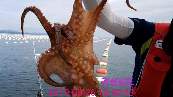 518f5445058b3e70487a2ec9c8b27e5e_mini.jp