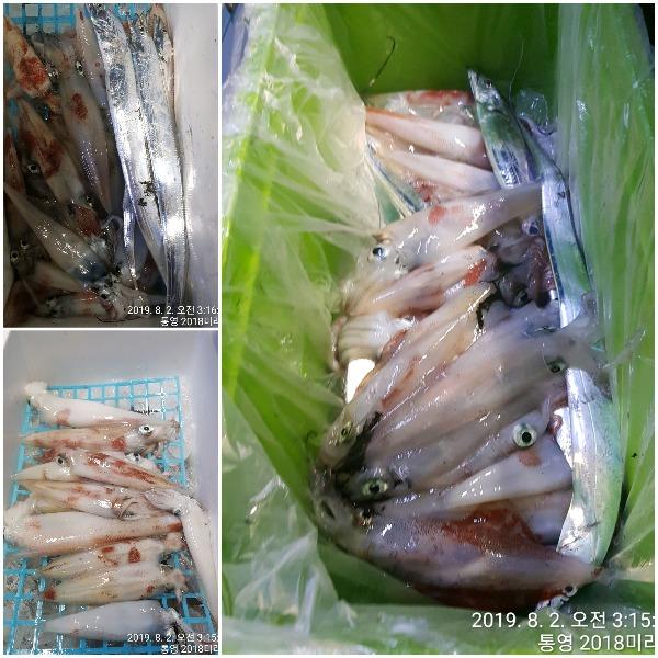 20190802_065801.jpg 6a2fff2d135af997076751dd4c8e273f_mini.jp