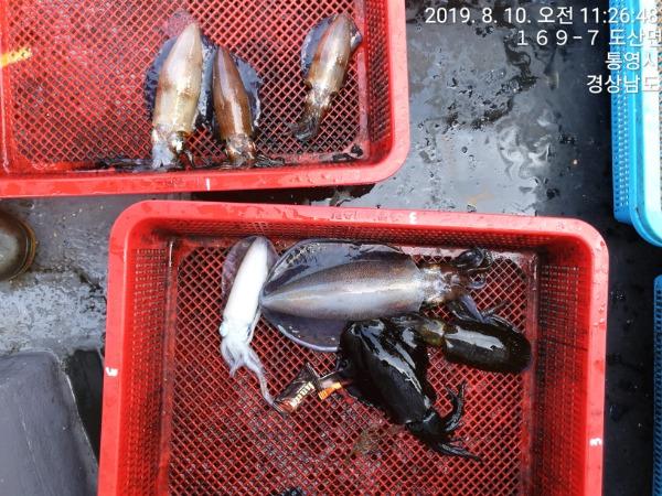 846bab7e98e171be0c7e5cb5376f50cf_mini.jp