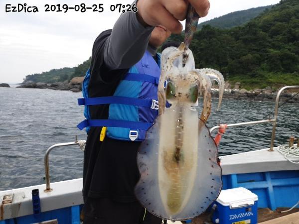 880c5381cf6e1b7446799935fe7a89e0_mini.jp