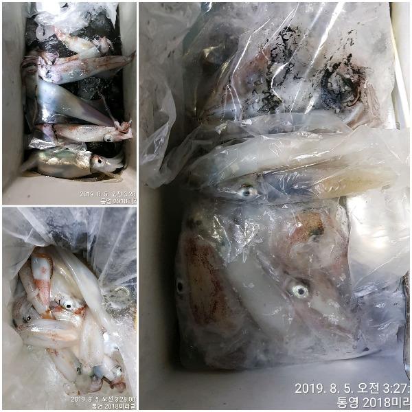 20190805_073502.jpg 8af0efaf3b1e18e85e2a48cae62c8722_mini.jp