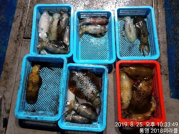 TimePhoto_20190825_223349.jpg 92cb2e278eef87a681298825f50c1bff_mini.jp