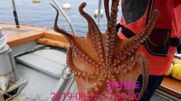 b4ce60e2b992bc6fa26dd34799762d14_mini.jp