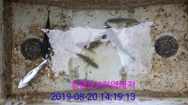 DateCamera0820141913.jpg bbb14e06ac646dee3442719bfbbe98ae_mini.jp