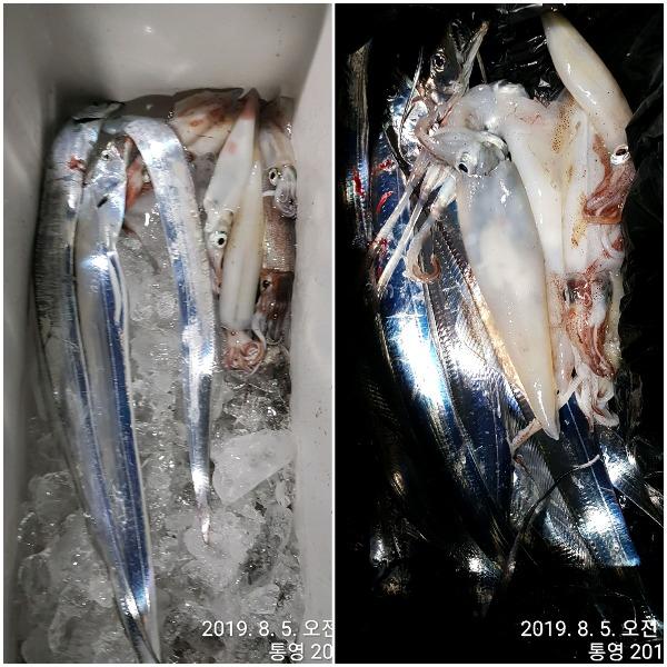 20190805_073610.jpg d7d0a5b407a4d76be8c891406f7376e2_mini.jp