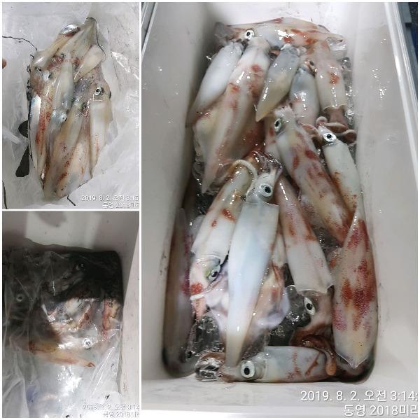 20190802_065816.jpg d82c40b90db8e2afe6d8d1e30fe105ab_mini.jp
