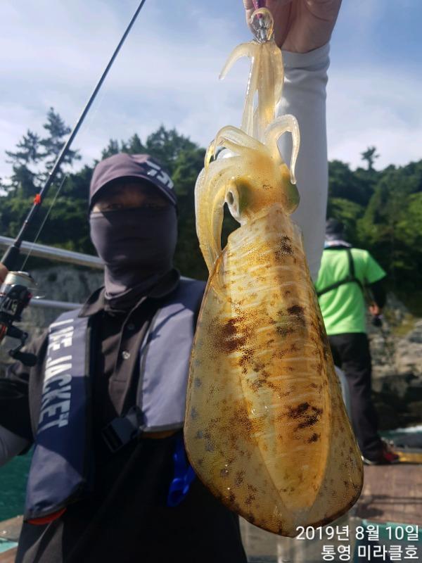 e4aac665b13e70b70dd5e64bdda71a52_mini.jp