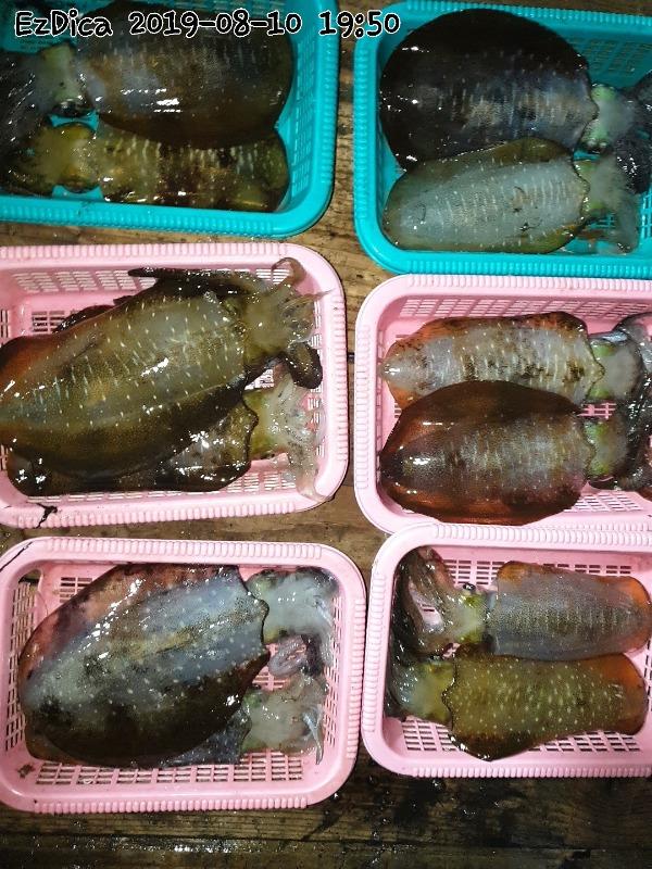 ee71c508e01e282b77431e3f2c7a95eb_mini.jp