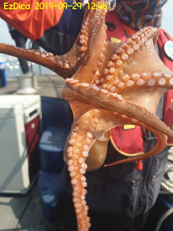 20190929_124601.jpg 097008803f5e790b6bf9e3d35550e618_mini.jp
