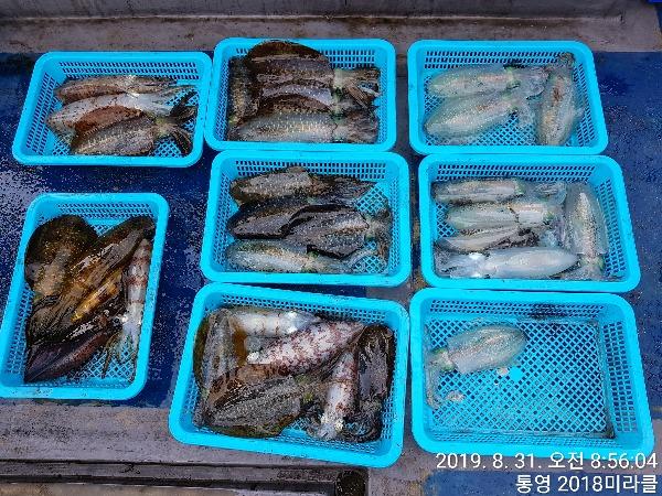 1a962eb0616d29a8fda6499a7bcbcaff_mini.jp