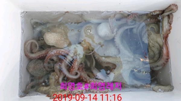 DateCamera0914111652.jpg 230cbba942fce213593d8a88ebc5ac3e_mini.jp