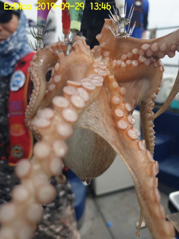 20190929_134631.jpg 2744576b44697ad67bf0e6673fd7a0c9_mini.jp