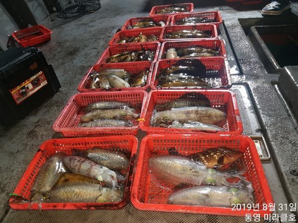 2d4d376d351d9b2b3782d25266f1d3ac_mini.jp