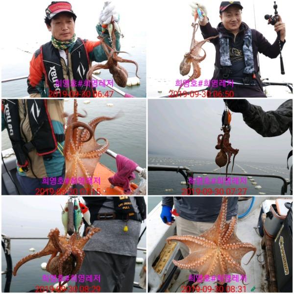 20190930_104726.jpg 2da2752ca5b7ec7faf5527fd563872ff_mini.jp