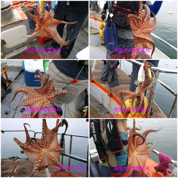20190930_104646.jpg 4020fa1d73a0e17dc9ffb4147ede8678_mini.jp