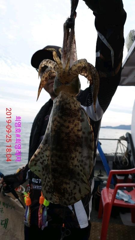 DateCamera0925180426.jpg 43ce1b171b2a42bc4966a384e9790653_mini.jp