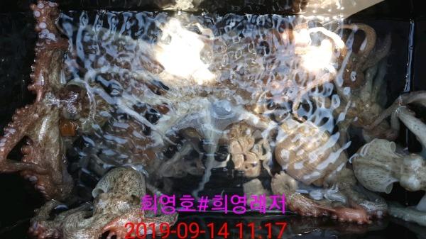 DateCamera0914111747.jpg 4eaaa35291d217fce27f3d1c3b148902_mini.jp